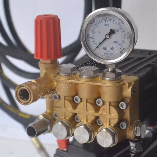 Lavadora eléctrica de gasolina de alta presión personalizada para limpieza agrícola